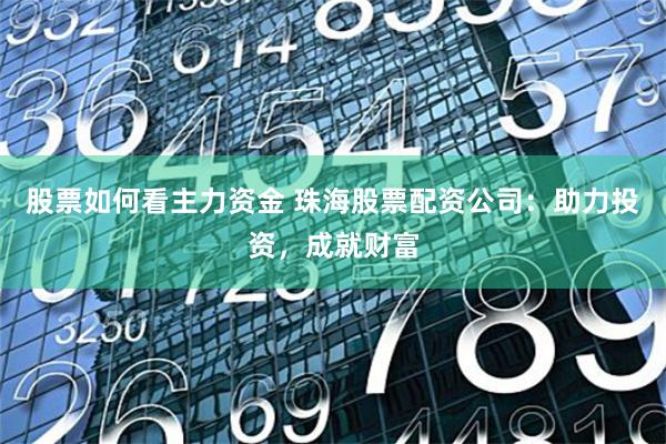 股票如何看主力资金 珠海股票配资公司：助力投资，成就财富