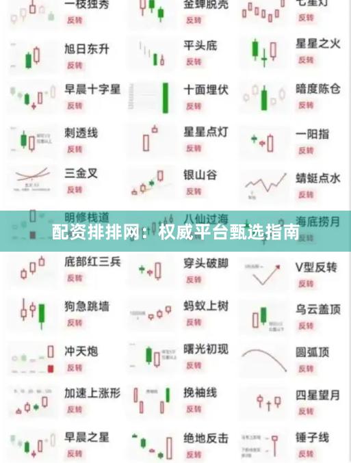 配资排排网：权威平台甄选指南