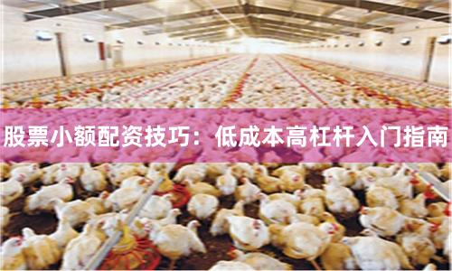 股票小额配资技巧：低成本高杠杆入门指南