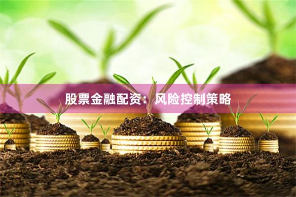 股票金融配资:风险控制策略
